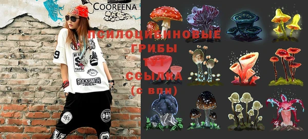 скорость Абаза
