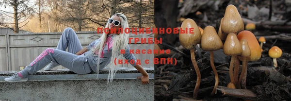 apvp Абинск