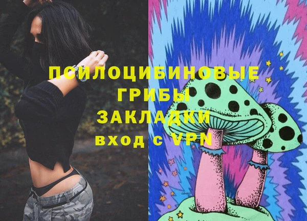 скорость Абаза